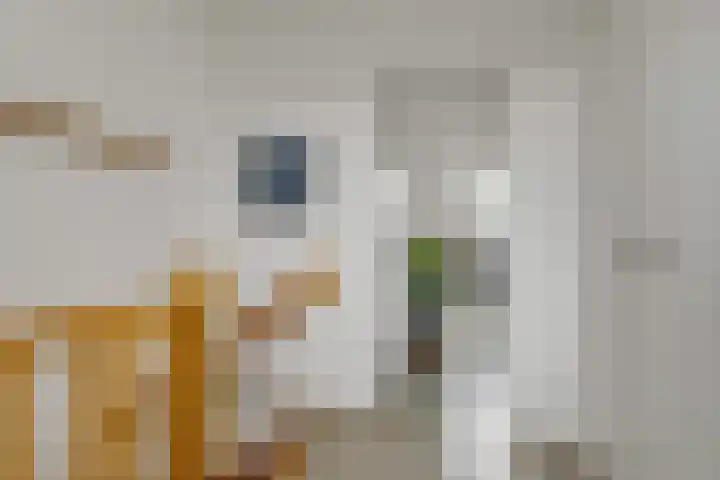 Wattstraat 16 B Breda thumbnail 16
