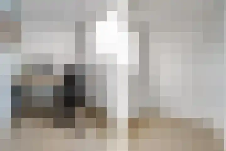 Wattstraat 16 B Breda thumbnail 19