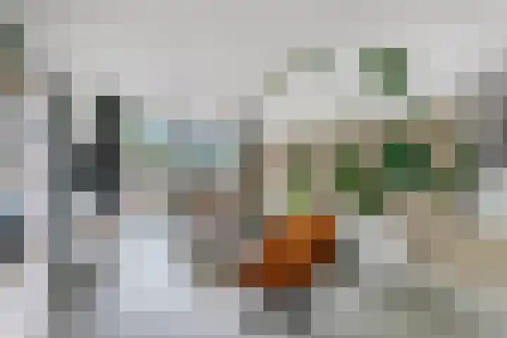Wattstraat 16 B Breda thumbnail 5