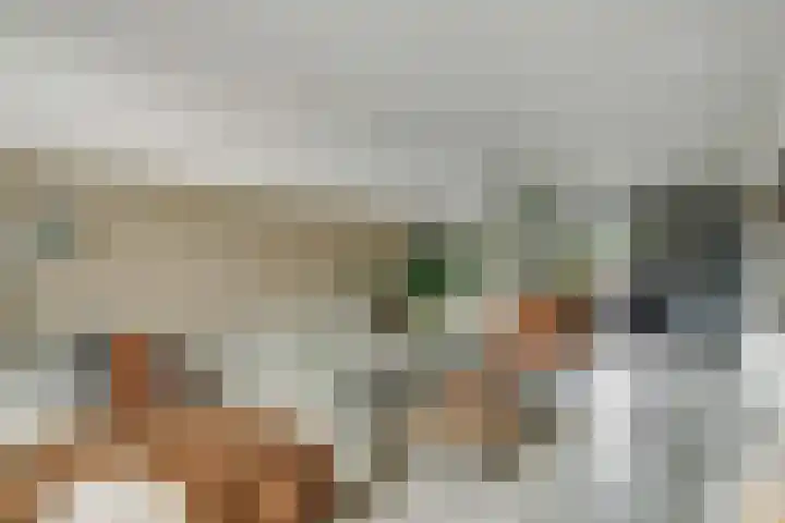 Wattstraat 16 B Breda thumbnail 6