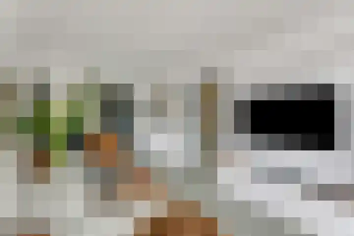 Wattstraat 16 B Breda thumbnail 7