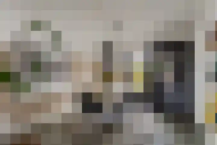 Wattstraat 16 B Breda thumbnail 8
