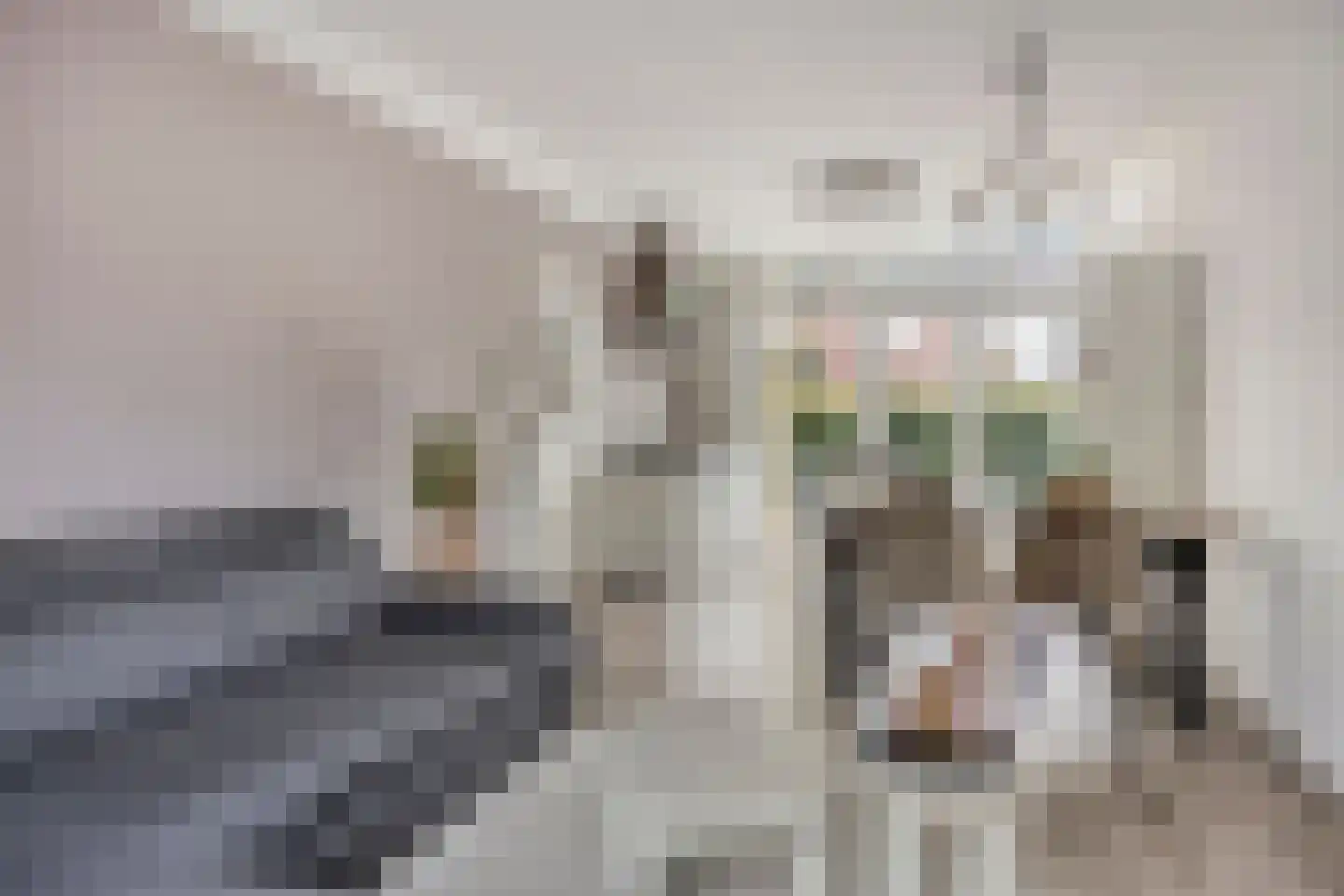 Wattstraat 16 Breda thumbnail 16