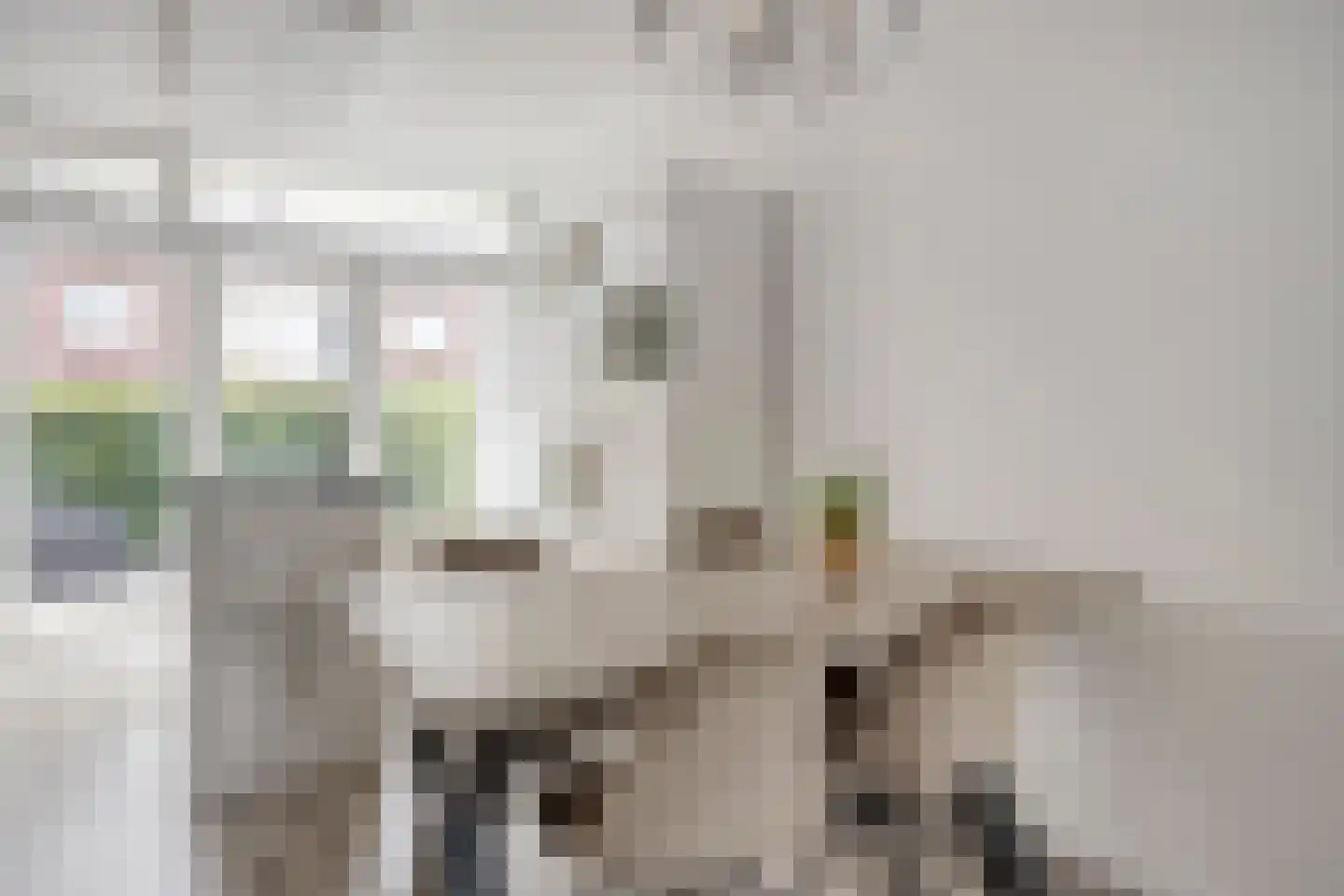 Wattstraat 16 Breda thumbnail 17