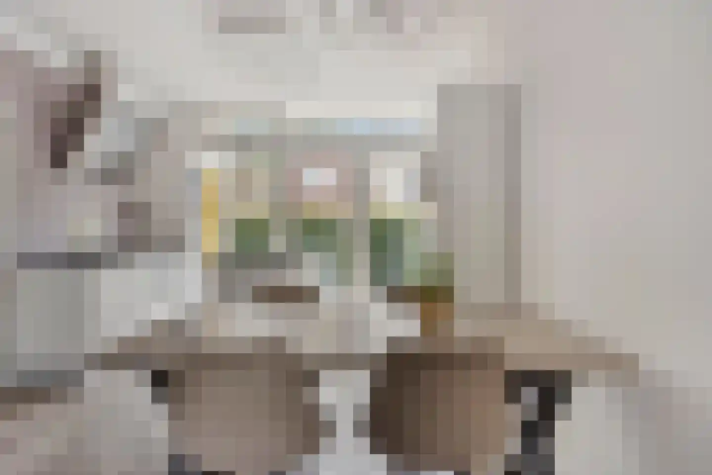 Wattstraat 16 Breda thumbnail 18