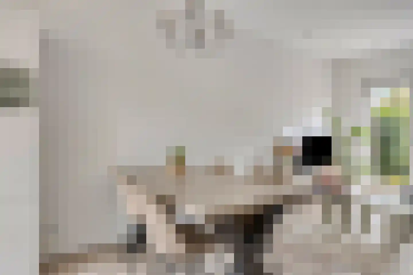 Wattstraat 16 Breda thumbnail 19