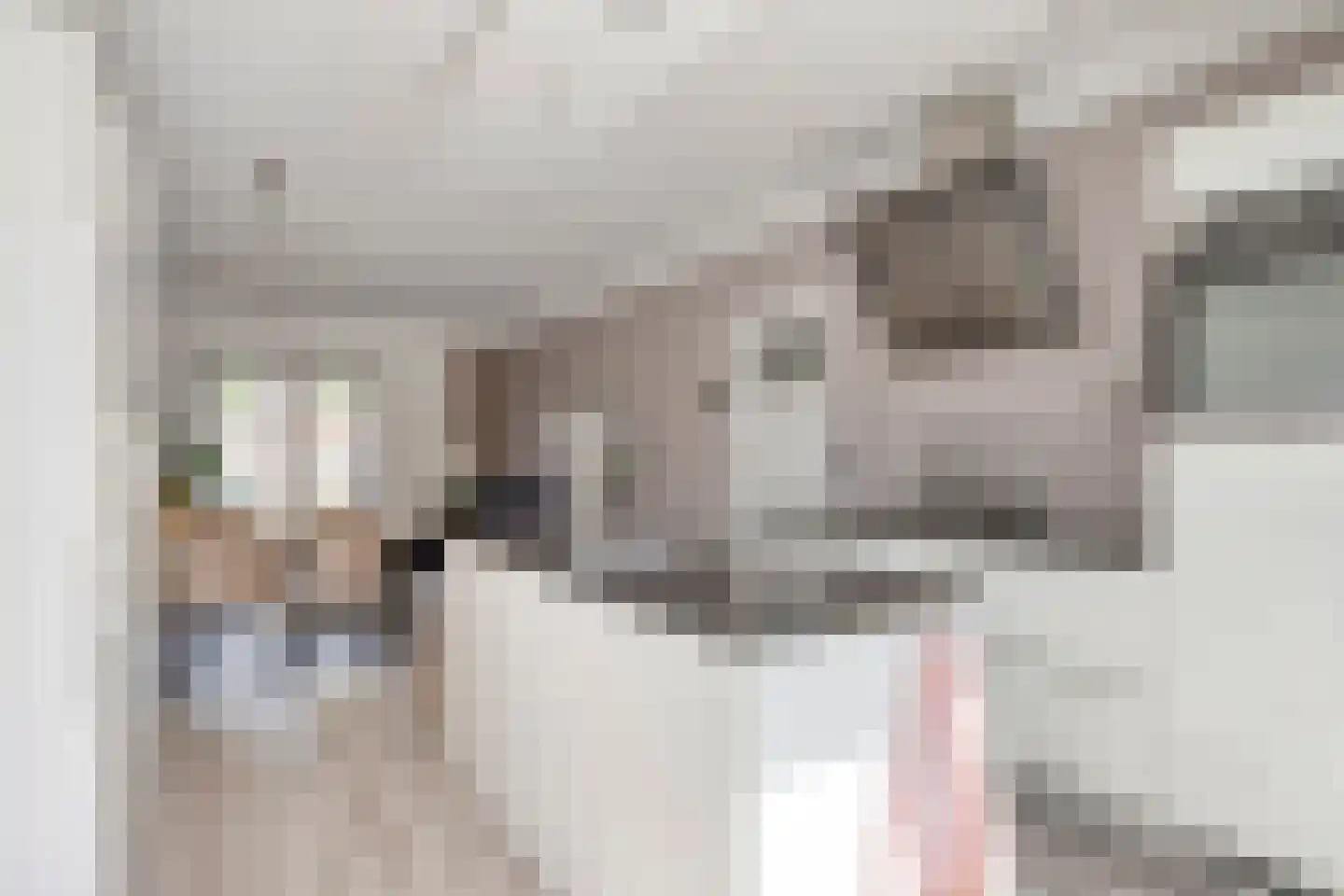 Wattstraat 16 Breda thumbnail 21