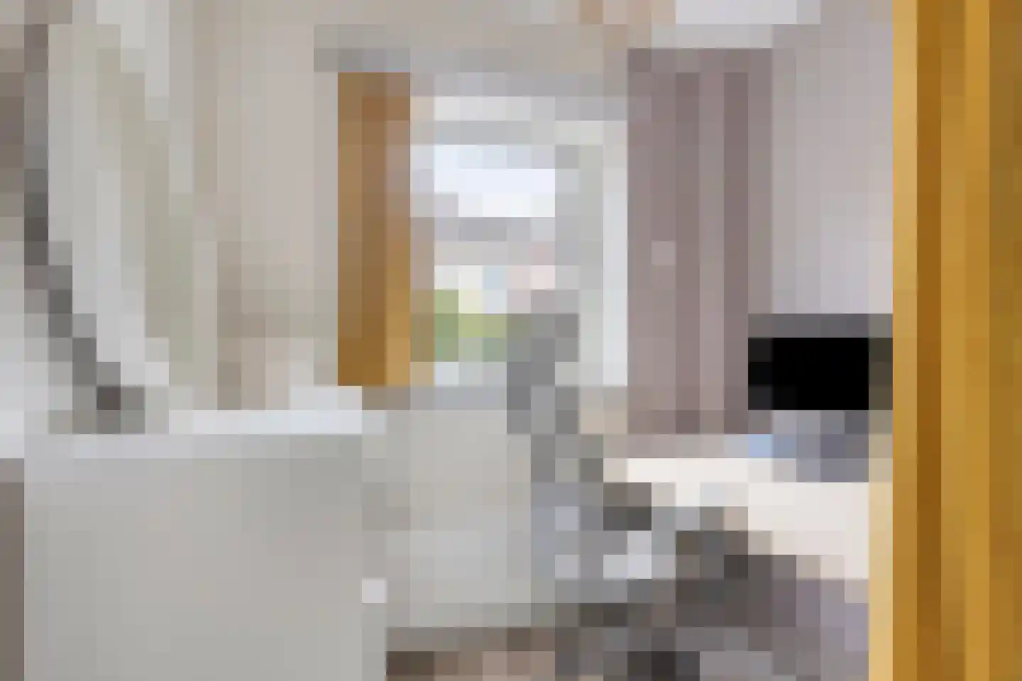 Wattstraat 16 Breda thumbnail 32