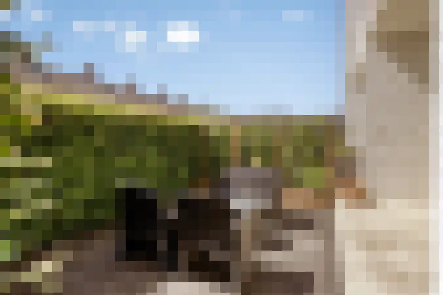 Wattstraat 16 Breda thumbnail 35