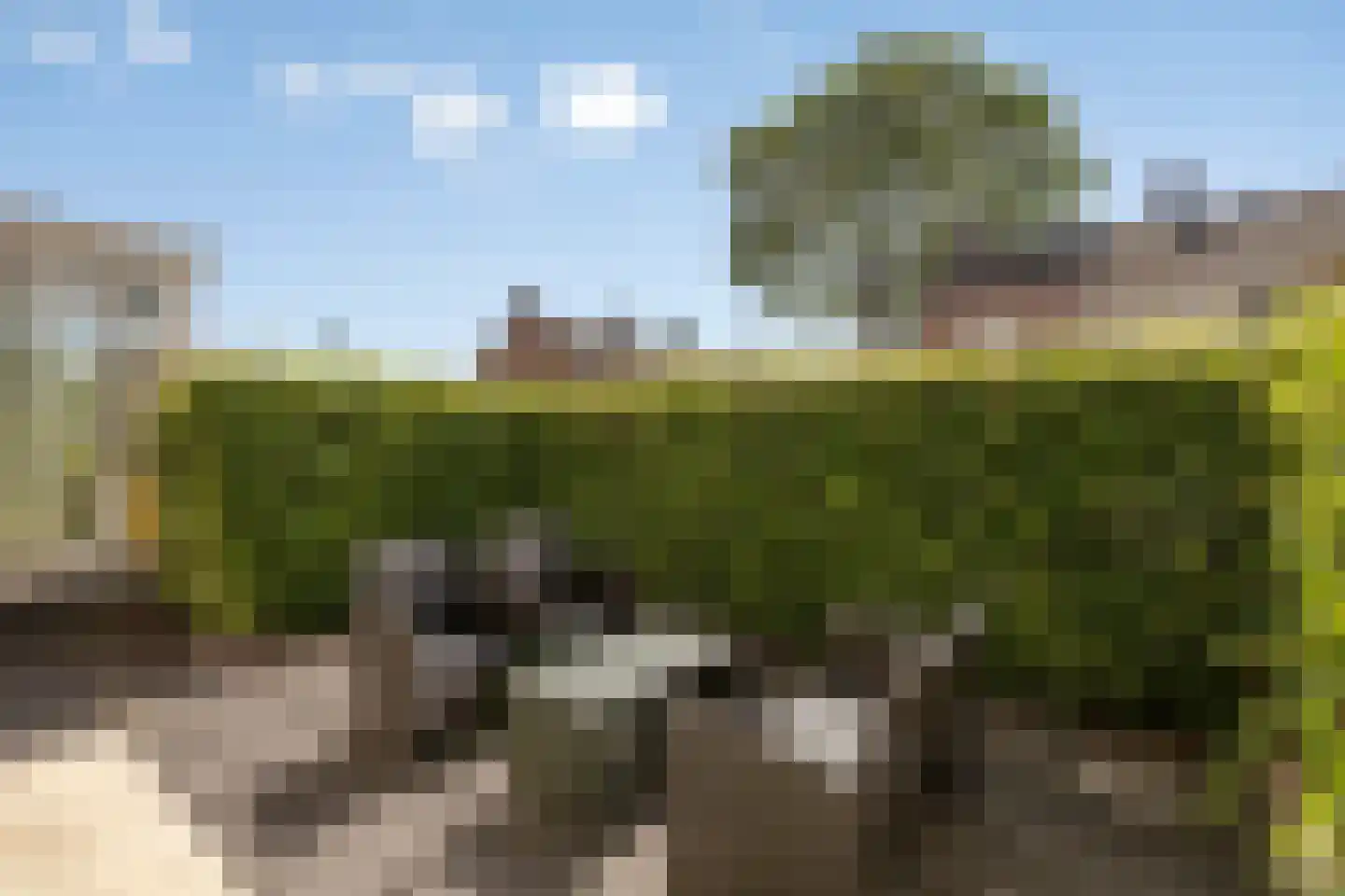 Wattstraat 16 Breda thumbnail 36