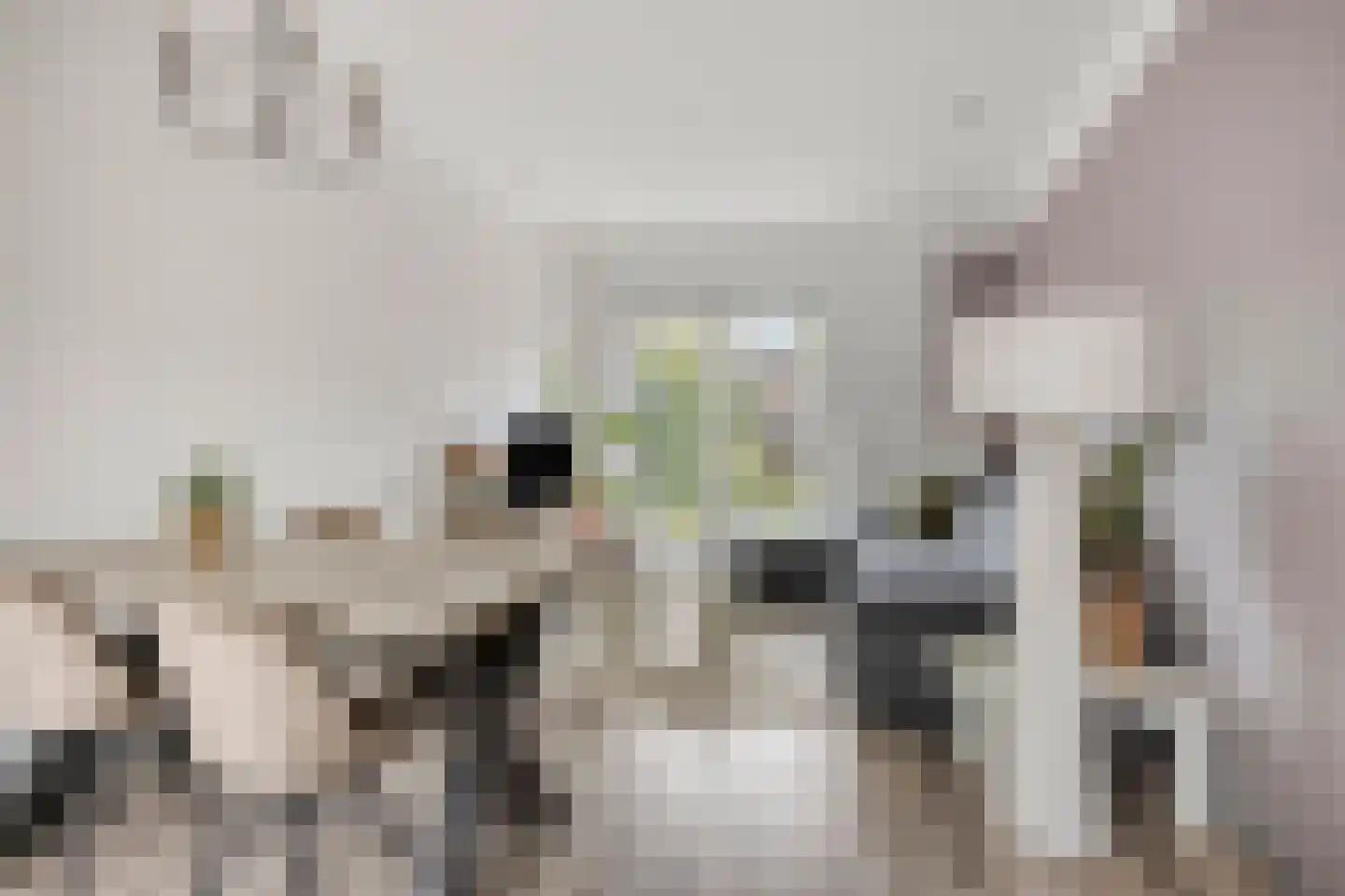 Wattstraat 16 Breda thumbnail 4