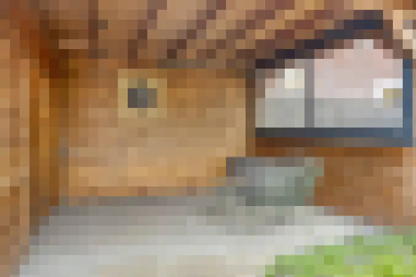 Wattstraat 16 Breda thumbnail 40