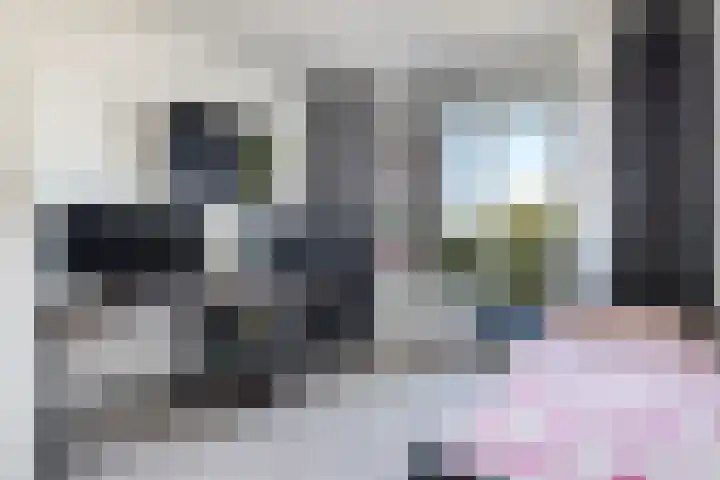 Wattstraat 21 Nijmegen thumbnail 21