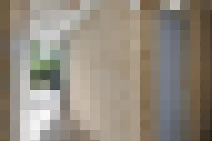 Wattstraat 21 Nijmegen thumbnail 27