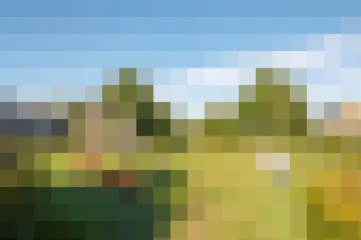 Wattstraat 21 Nijmegen thumbnail 29