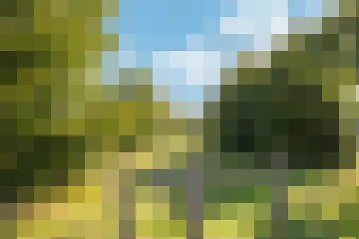 Wattstraat 21 Nijmegen thumbnail 30