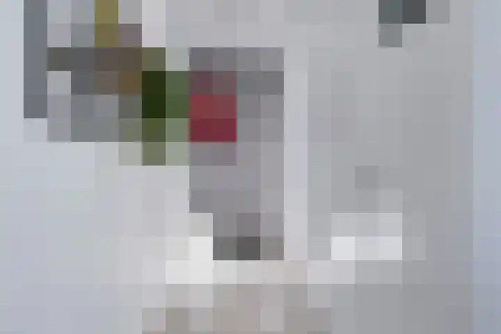 Wattstraat 21 Nijmegen thumbnail 6