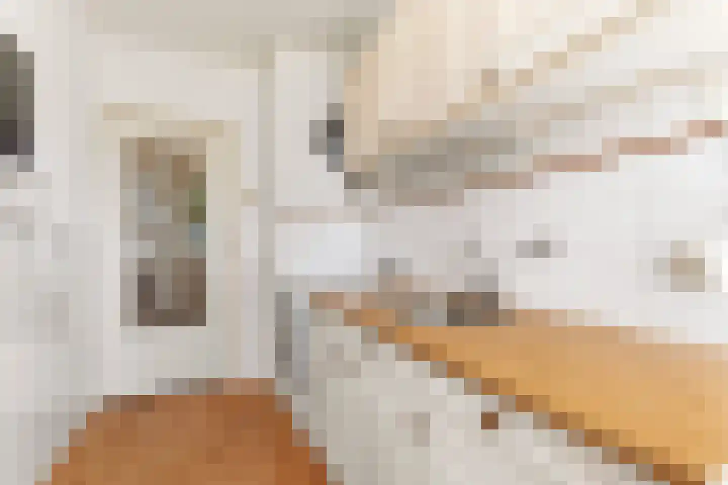 Wattstraat 25 Nijmegen thumbnail 14