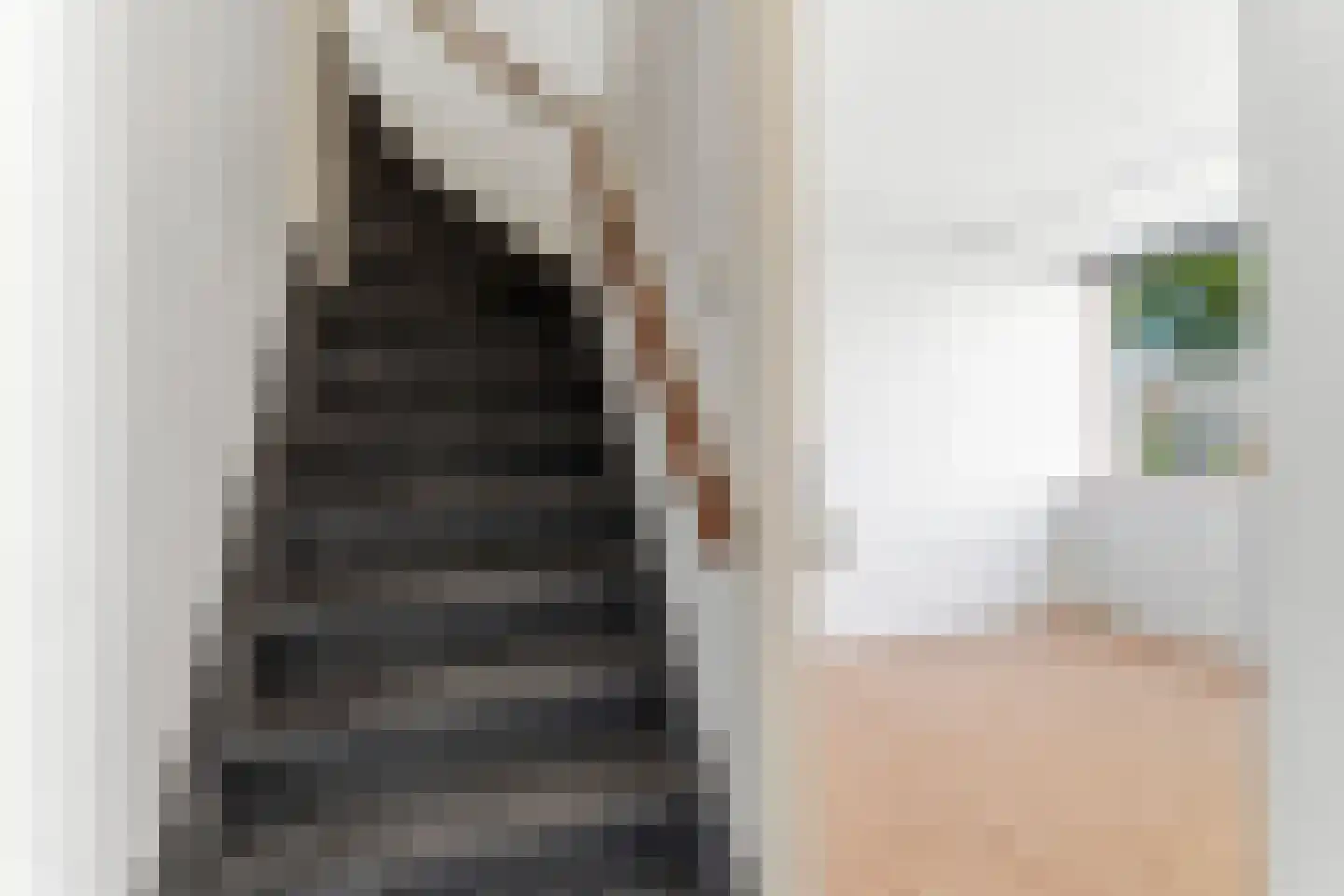 Wattstraat 25 Nijmegen thumbnail 23