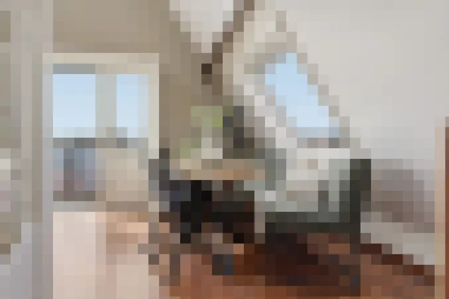 Wattstraat 40 Wormerveer thumbnail 7