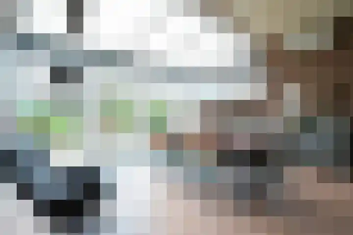 Wattstraat 8 Landgraaf thumbnail 20