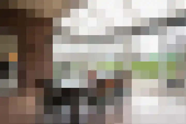 Wattstraat 8 Landgraaf thumbnail 22