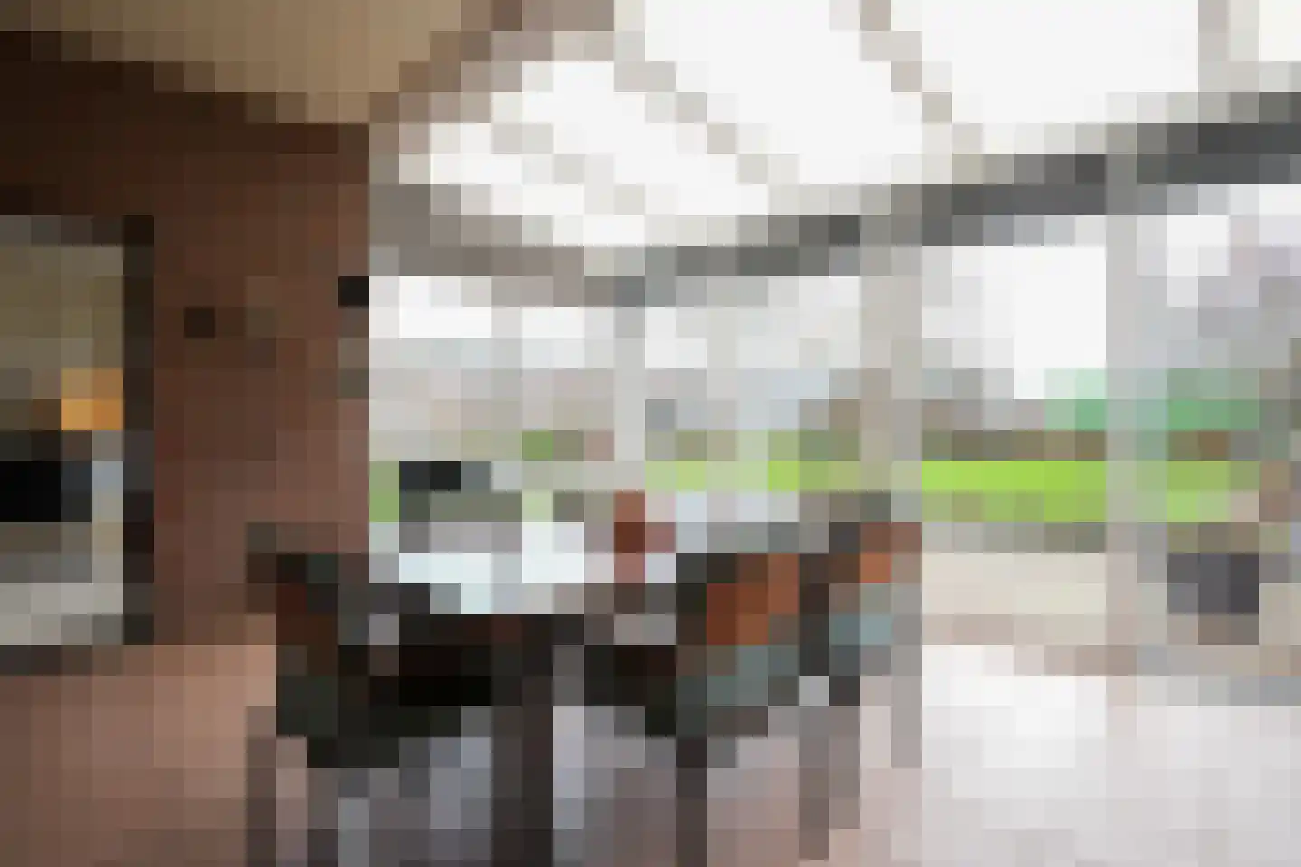 Wattstraat 8 Landgraaf thumbnail 23