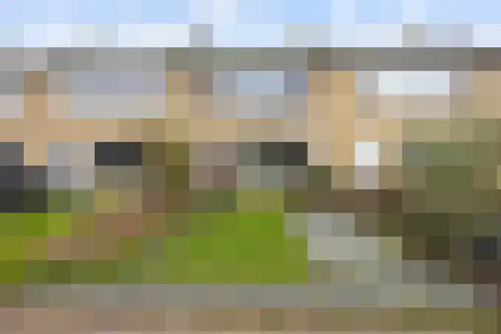 Watzemawei 16 dans Tijnje
