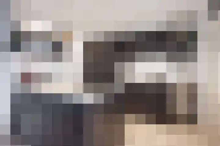 Watzemawei 16 Tijnje thumbnail 15