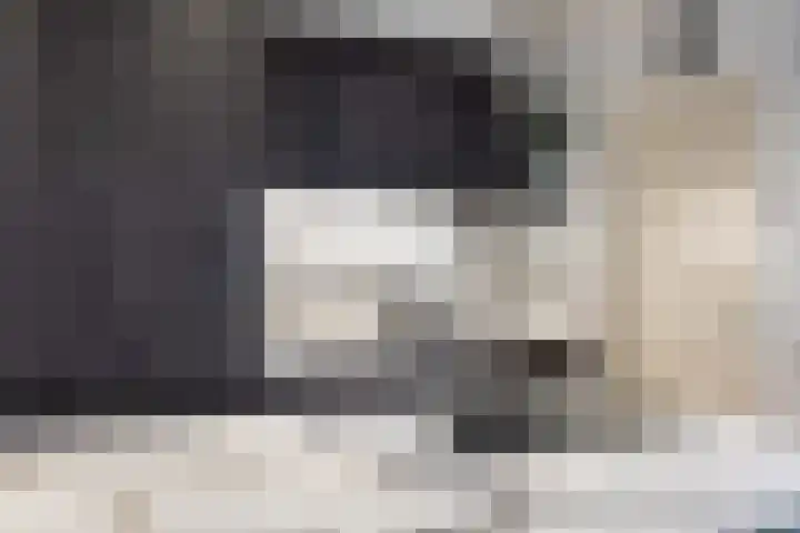 Watzemawei 16 Tijnje thumbnail 17