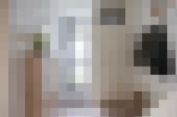 Watzemawei 16 Tijnje foto 3