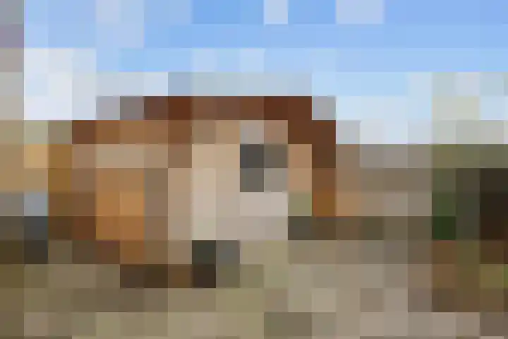 Watzemawei 16 Tijnje thumbnail 41