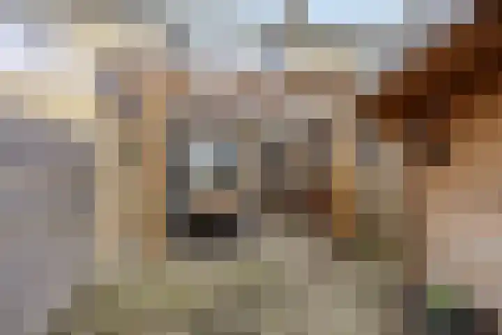 Watzemawei 16 Tijnje thumbnail 42