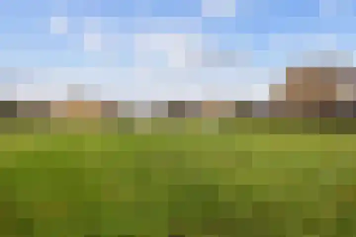 Watzemawei 16 Tijnje thumbnail 45