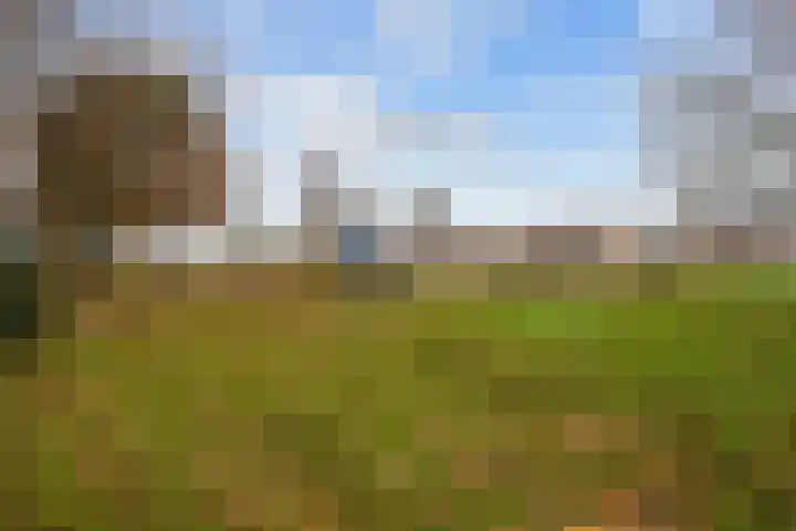 Watzemawei 16 Tijnje thumbnail 46