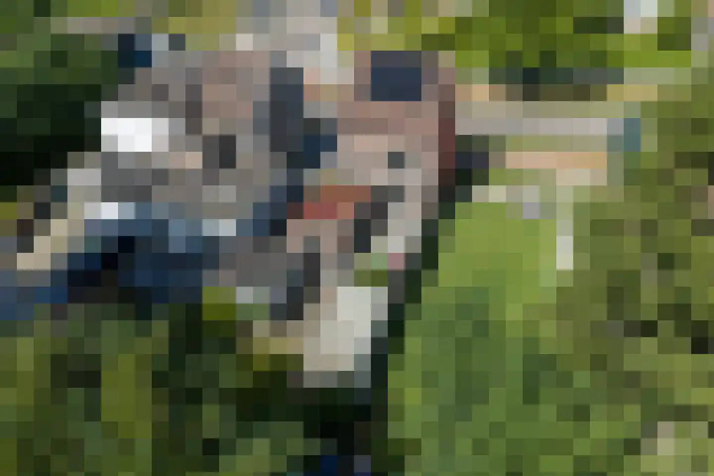 Waubacherweg 6 Eygelshoven thumbnail 26