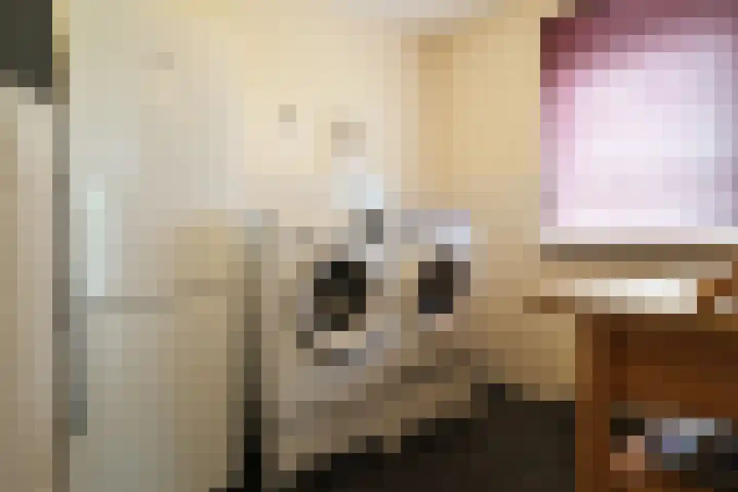 Waubertstrjitte 25 Parrega thumbnail 22