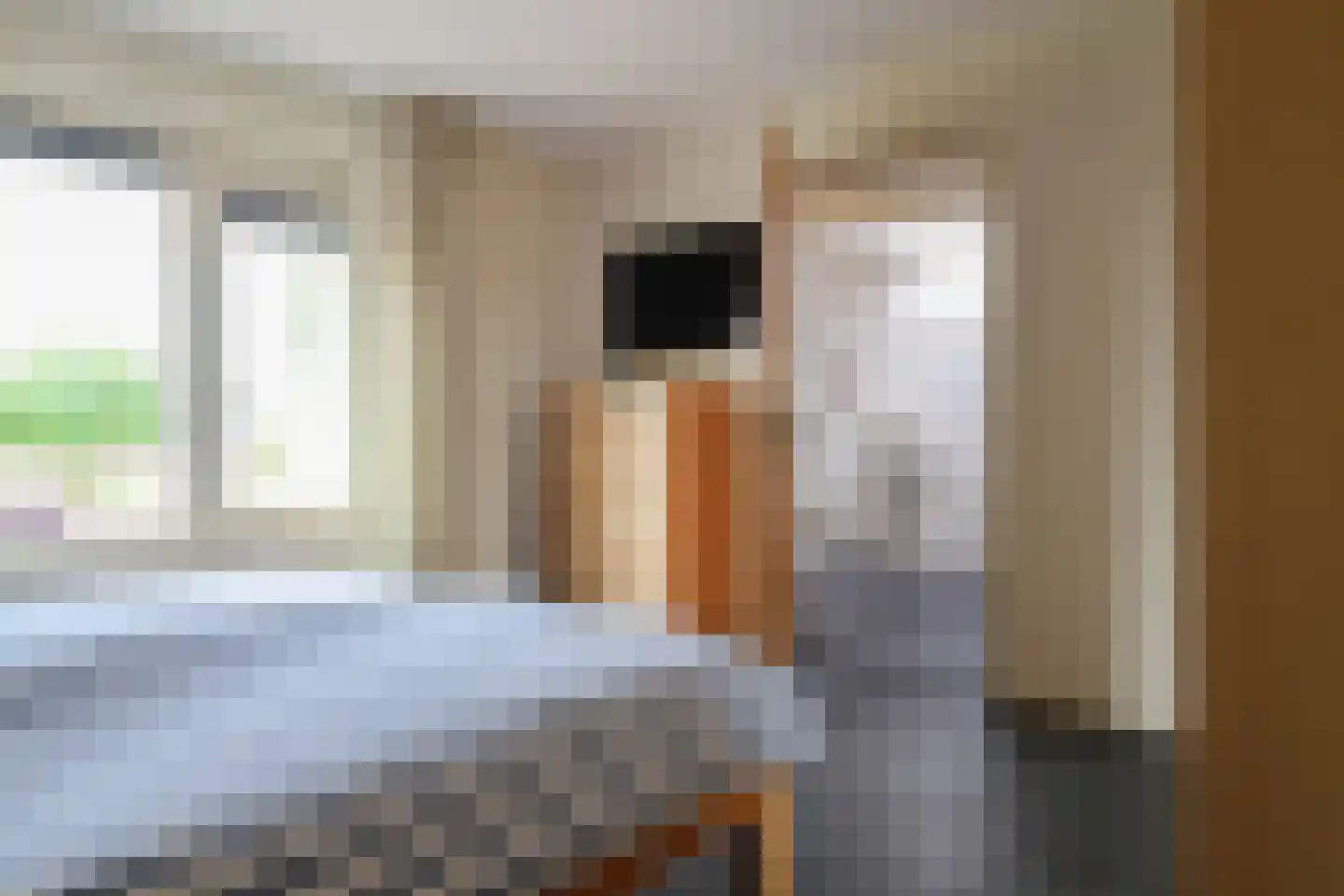 Waubertstrjitte 25 Parrega thumbnail 25