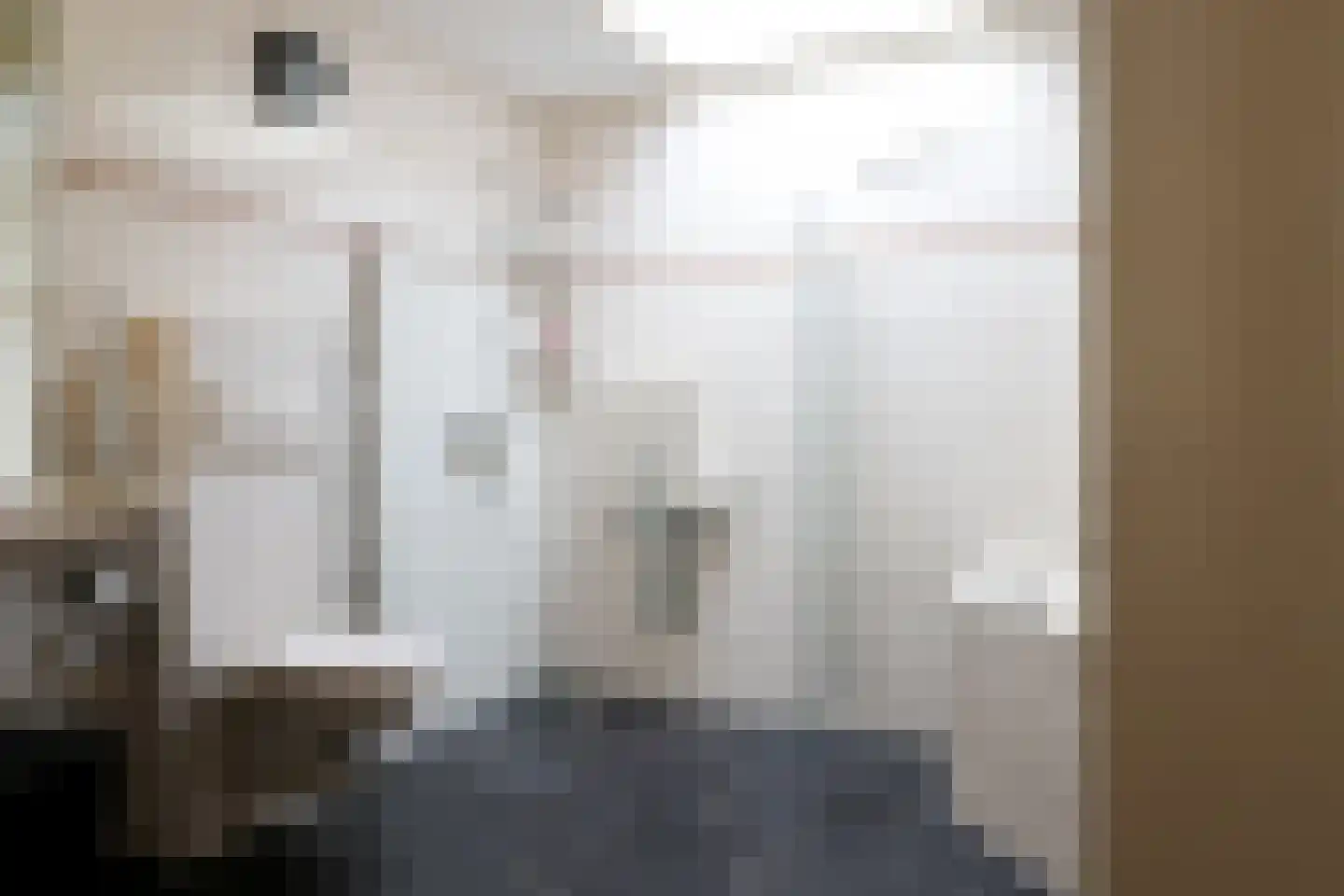 Waubertstrjitte 25 Parrega thumbnail 28