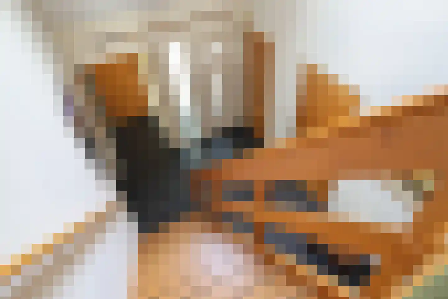 Waubertstrjitte 25 Parrega thumbnail 31