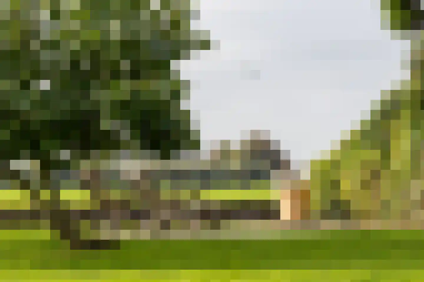 Waubertstrjitte 25 Parrega thumbnail 39