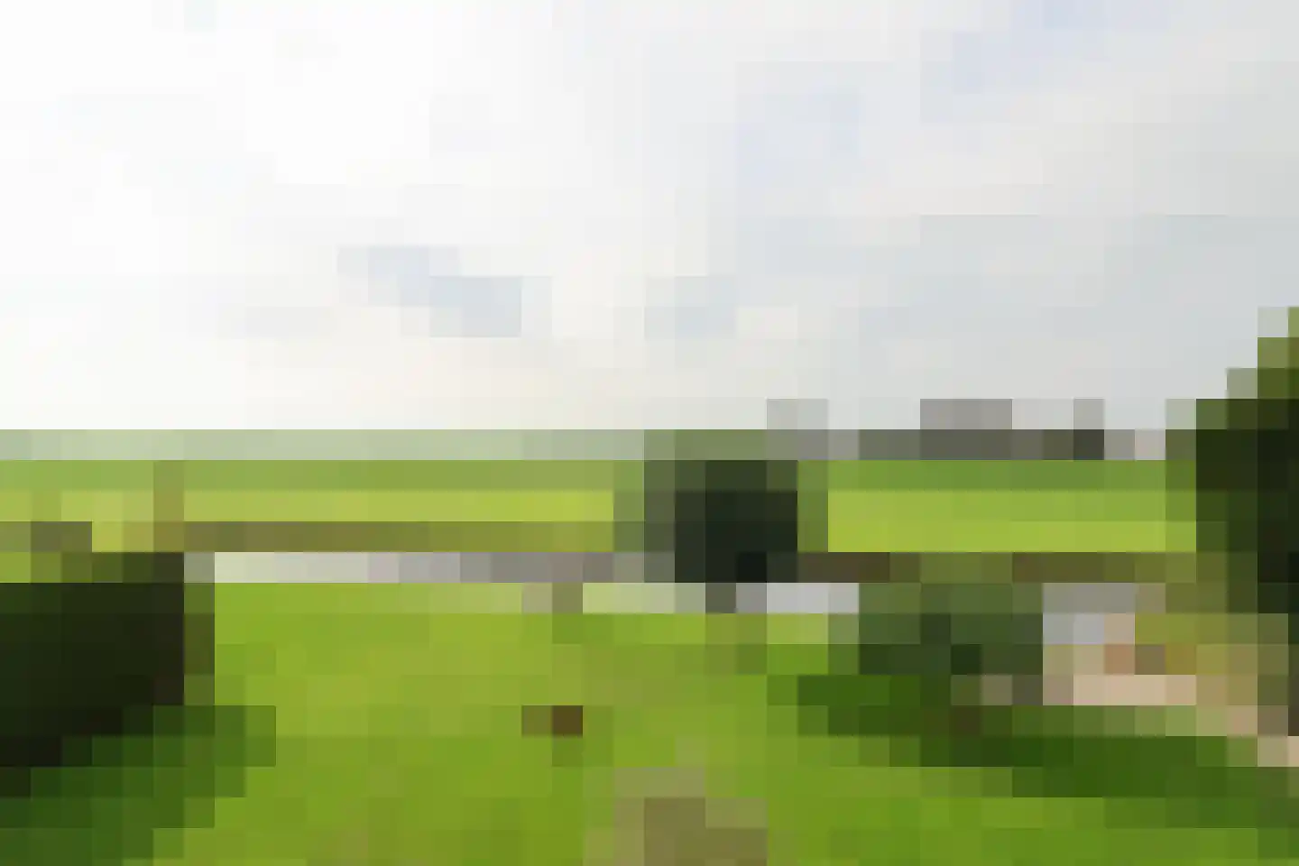 Waubertstrjitte 25 Parrega thumbnail 4