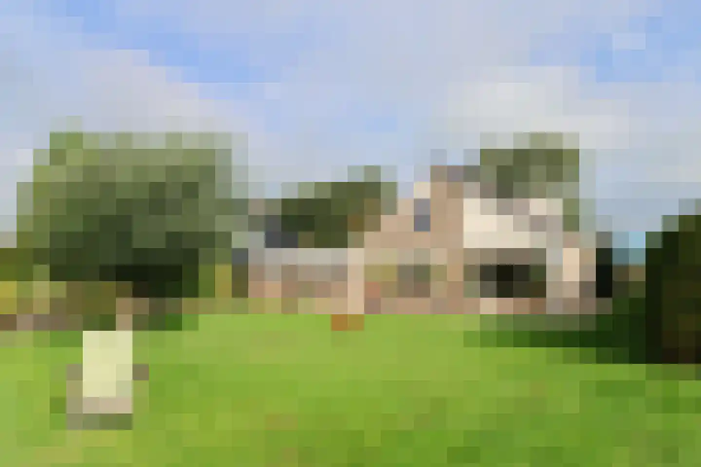 Waubertstrjitte 25 Parrega thumbnail 41