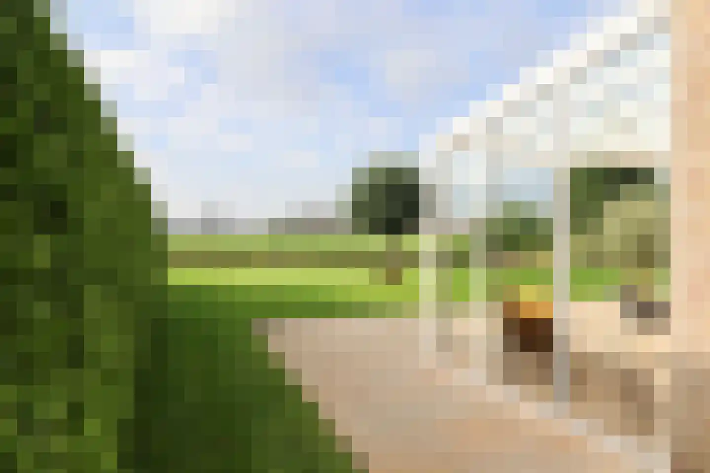 Waubertstrjitte 25 Parrega thumbnail 43