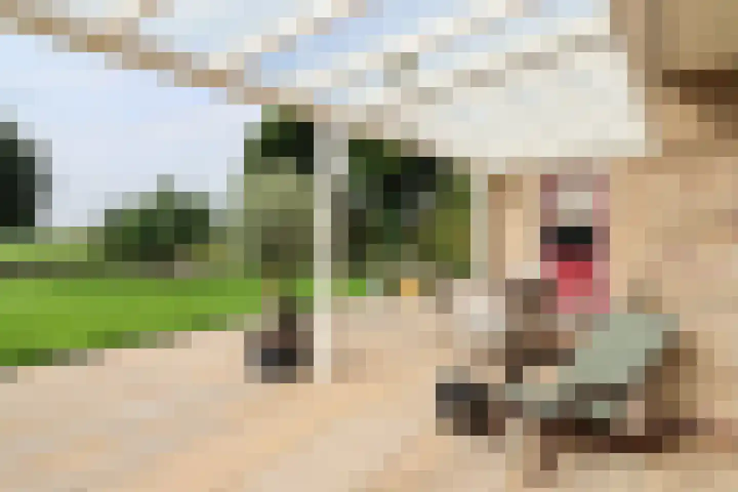 Waubertstrjitte 25 Parrega thumbnail 44