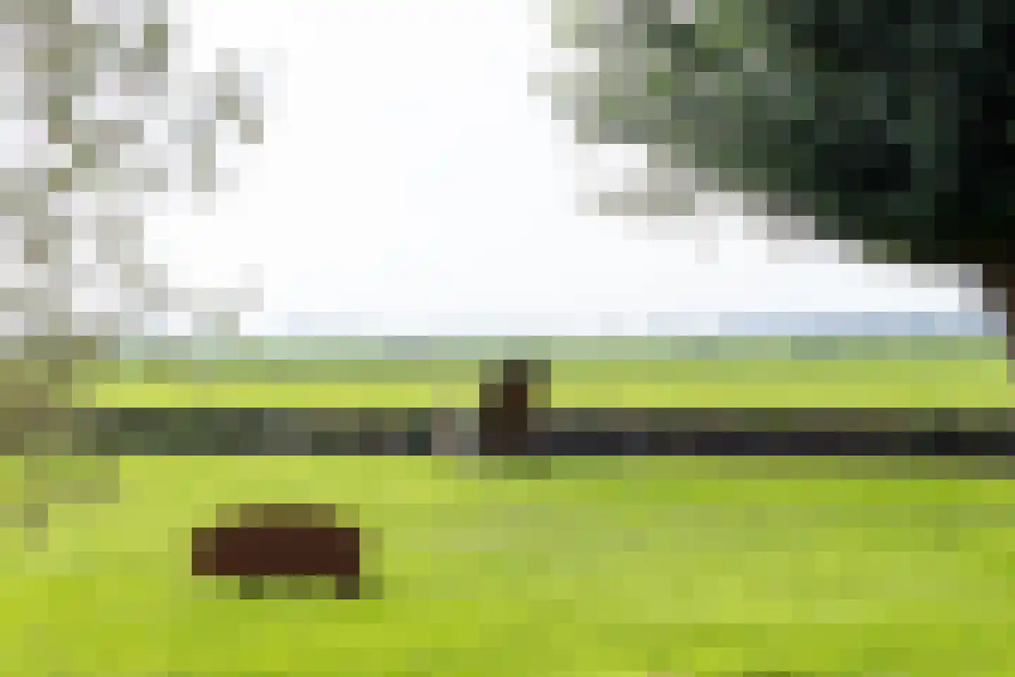 Waubertstrjitte 25 Parrega thumbnail 45