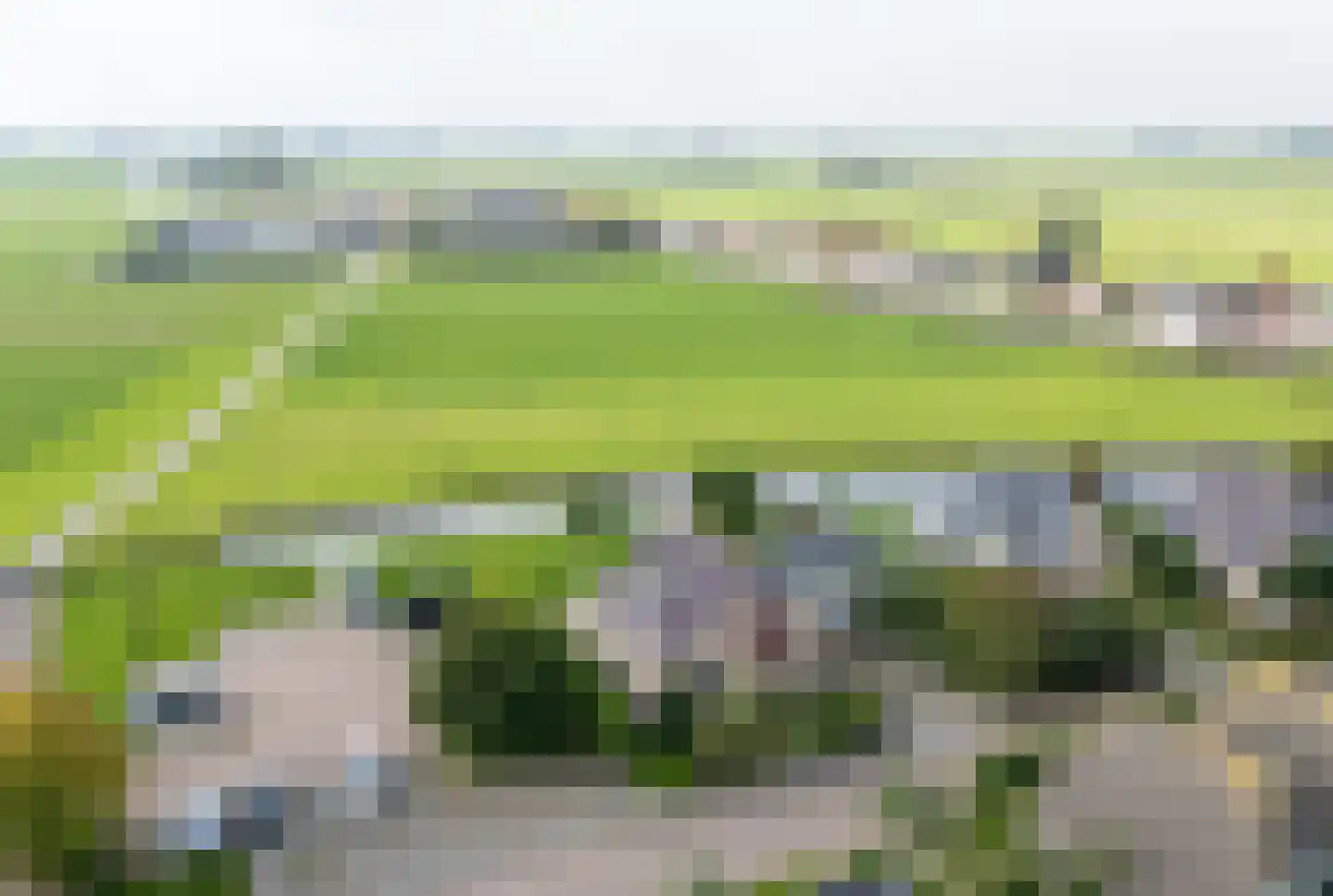 Waubertstrjitte 25 Parrega thumbnail 47