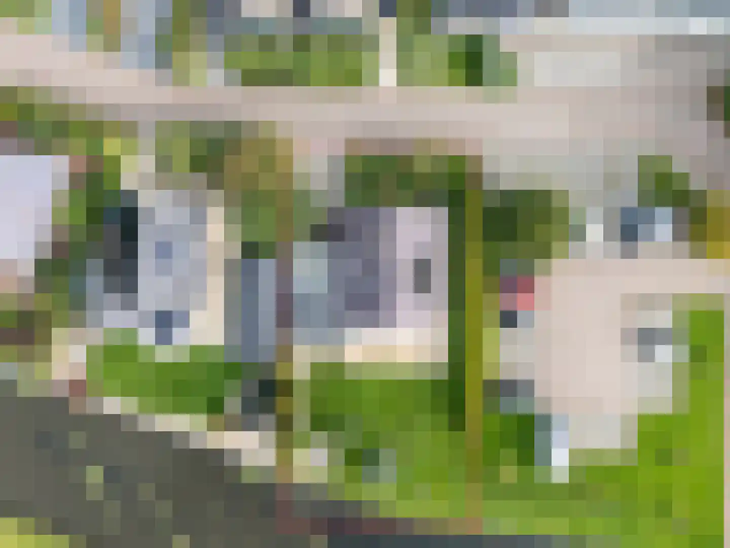 Waubertstrjitte 25 Parrega thumbnail 6