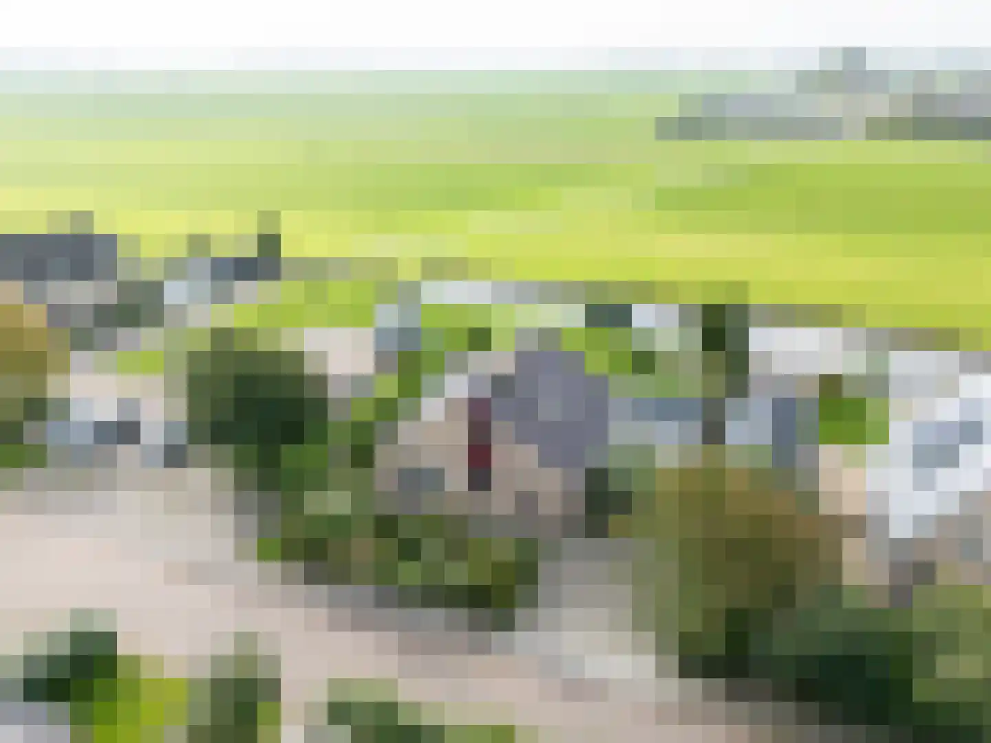 Waubertstrjitte 25 Parrega thumbnail 7
