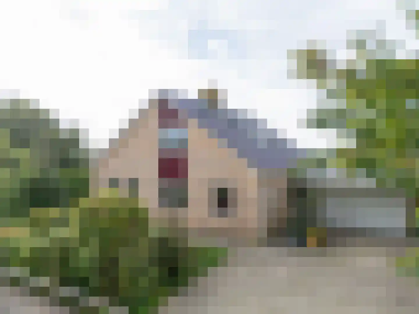 Waubertstrjitte 25 Parrega thumbnail 8